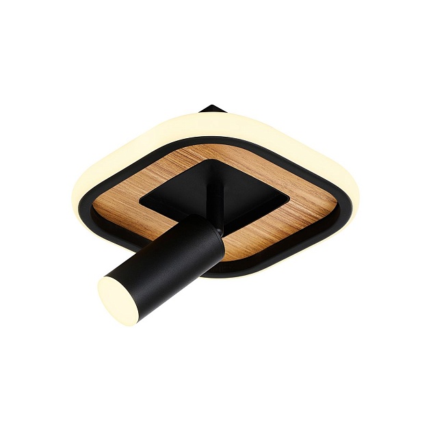 Потолочный светодиодный светильник F-Promo Olika 4439-1C Фото № 