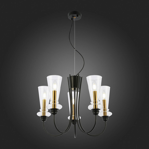 Подвесная люстра Evoluce Rammo SLE112403-05 Фото № 5