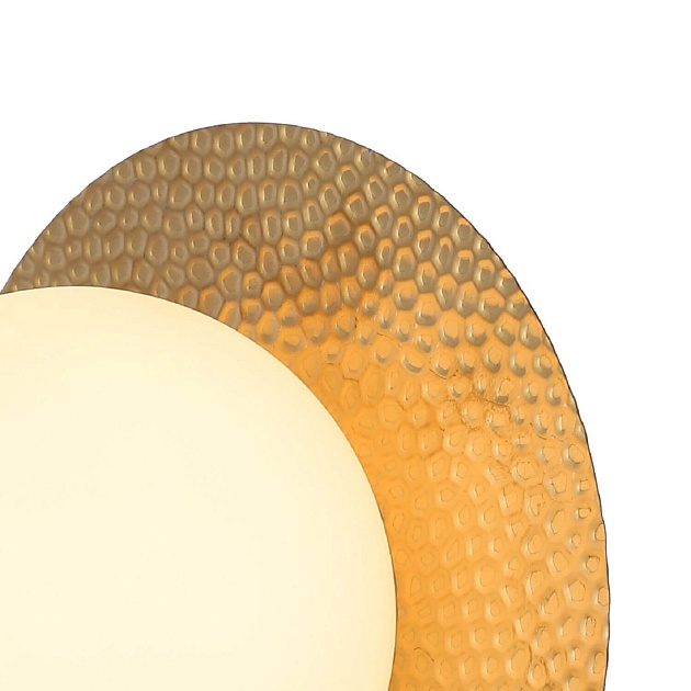 Настенный светильник F-Promo Roshni 3050-1W Фото № 2