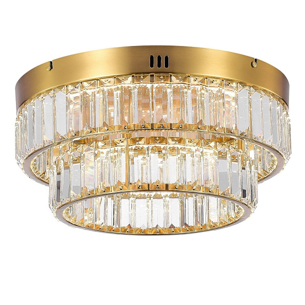 Потолочный светодиодный светильник MyFar Irina MR2011-2CL изображение Потолочный светодиодный светильник MyFar Irina MR2011-2CL Фото №