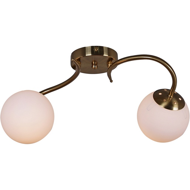 Потолочный светильник Reluce 81724-0.3-02 Фото № 