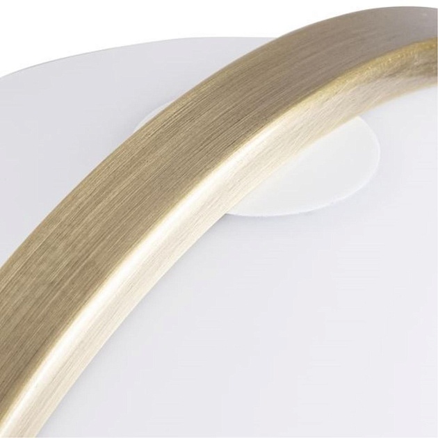 Настольная лампа Arte Lamp Brava A5056LT-1AB Фото № 2