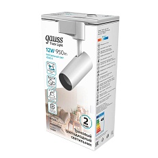 Трековый светодиодный светильник Gauss Track Light Led TR064 1
