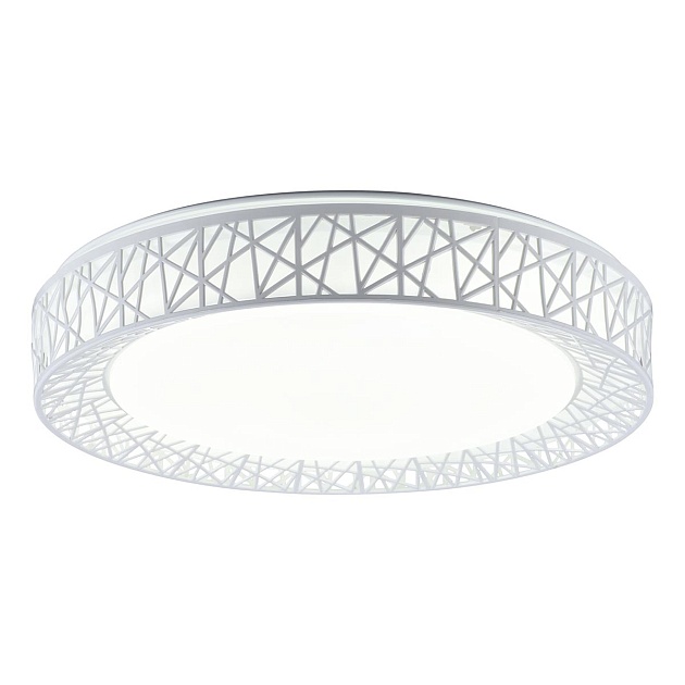 Потолочный светодиодный светильник Toplight Diana TL1204X-72WH изображение Потолочный светодиодный светильник Toplight Diana TL1204X-72WH Фото №