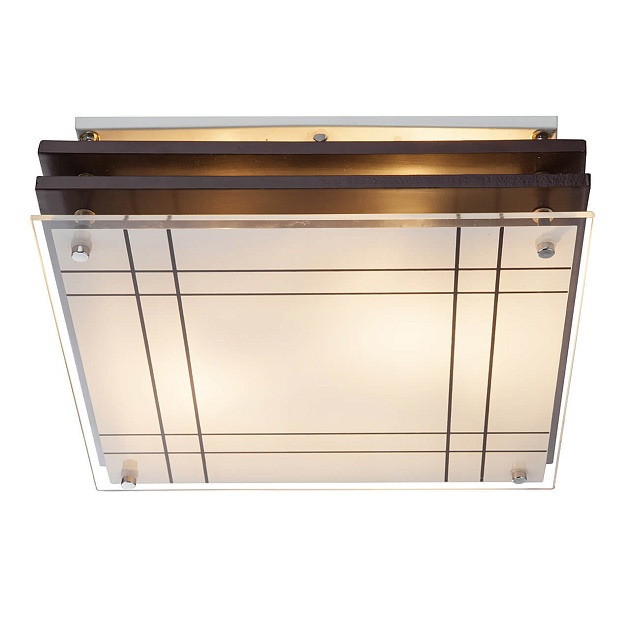 Потолочный светильник Globo Kadavu 48089 Фото № 