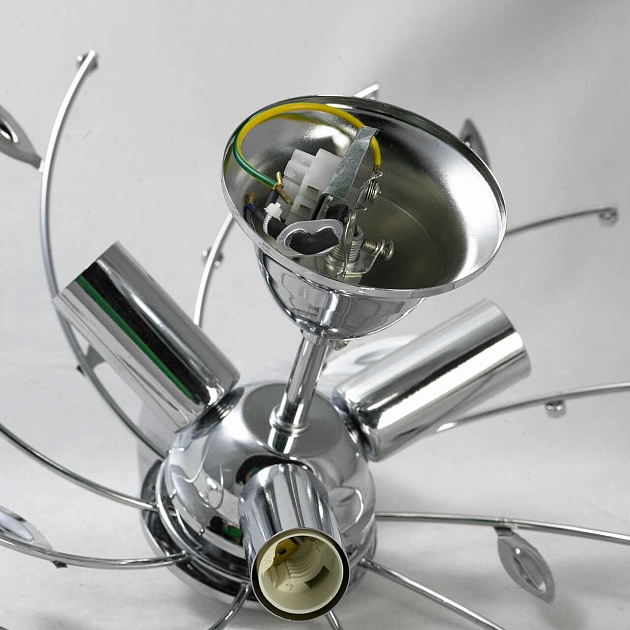 Потолочная люстра Lussole Lgo LSP-0185 изображение 5 Потолочная люстра Lussole Lgo LSP-0185 Фото № 5