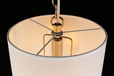 Подвесной светильник Aployt Franula APL.724.06.01 2