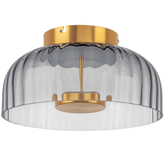 Потолочный светодиодный светильник Lightstar Celesta 809061 изображение Потолочный светодиодный светильник Lightstar Celesta 809061 Фото №