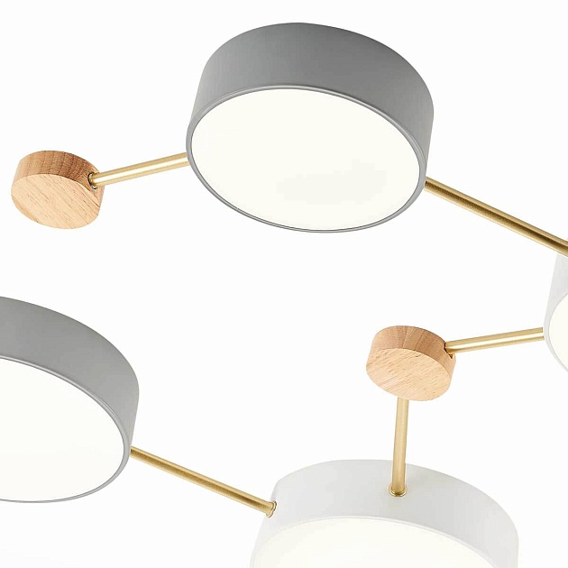 Потолочный светильник Evoluce DOSSENA SLE600102-08 Фото № 3