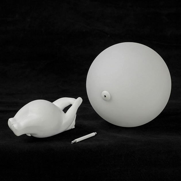 Потолочный светильник Lussole LSP-8903 Фото № 5