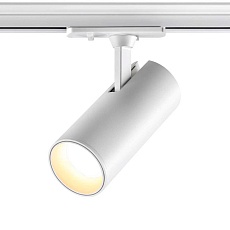 Трековый светильник однофазный двухжильный Novotech SELENE 359155 1