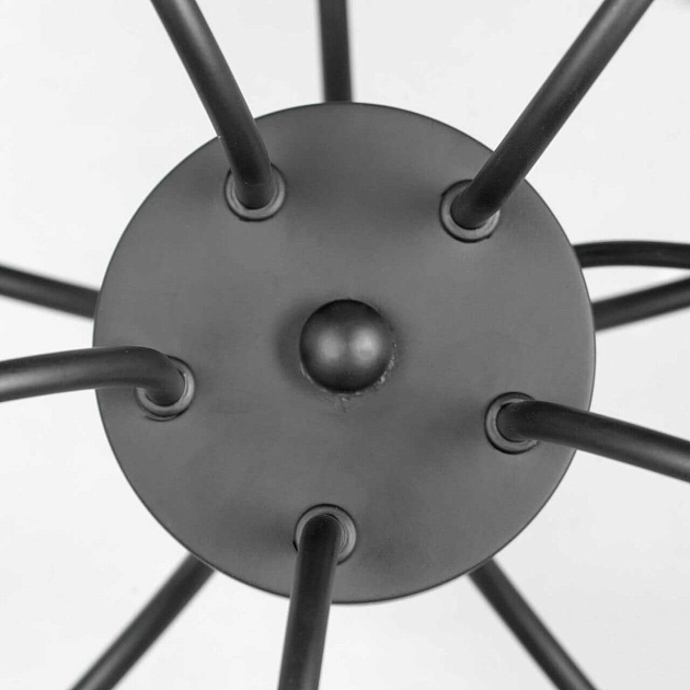 Подвесная люстра Lussole Lgo Roosevelt LSP-8198 изображение 3 Подвесная люстра Lussole Lgo Roosevelt LSP-8198 Фото № 3