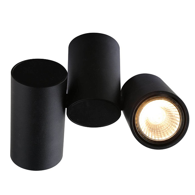 Потолочный светильник Divinare Gavroche 1354/04 PL-2 Фото № 