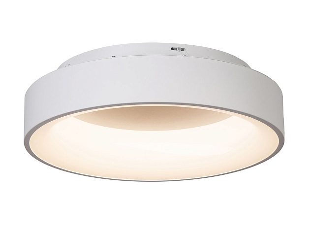 Потолочный светодиодный светильник MyFar Shannon MR2194-1PL изображение 7 Потолочный светодиодный светильник MyFar Shannon MR2194-1PL Фото № 7