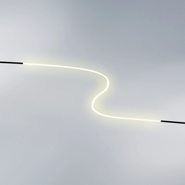 Трековый светодиодный светильник Lightstar Linea 206212 Фото № 3