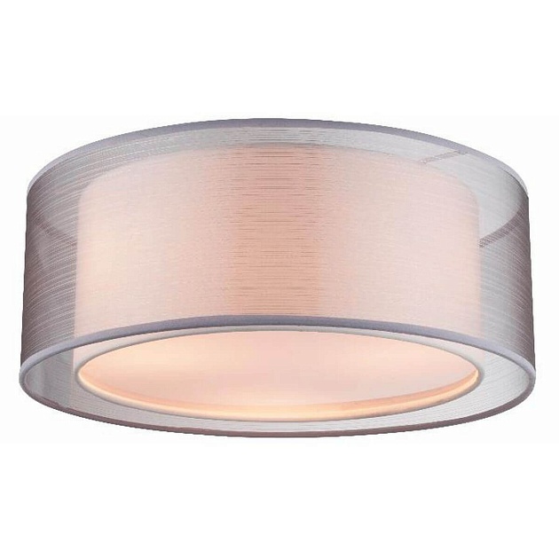 Потолочный светильник Globo Theo 15190D Фото № 