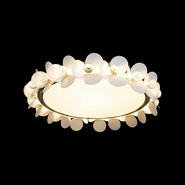 Потолочный светодиодный светильник Loft IT Bride 10175 изображение 3 Потолочный светодиодный светильник Loft IT Bride 10175 Фото № 3