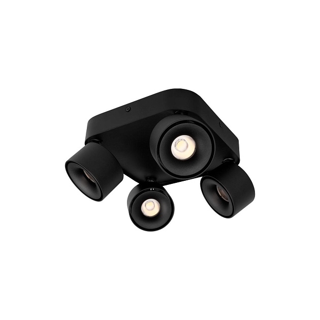 Спот Loft IT Case 10326 Black Фото № 