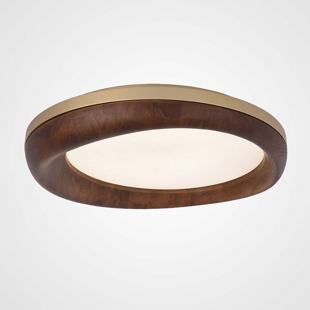 Потолочный светодиодный светильник Imperium Loft Runis 219475-26 изображение Потолочный светодиодный светильник Imperium Loft Runis 219475-26 Фото №