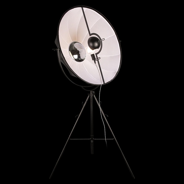 Торшер Loft IT Studio 10301/L изображение 2 Торшер Loft IT Studio 10301/L Фото № 2