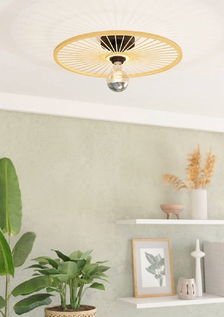 Потолочный светильник Eglo Leominster 43883 изображение 5 Потолочный светильник Eglo Leominster 43883 Фото № 5