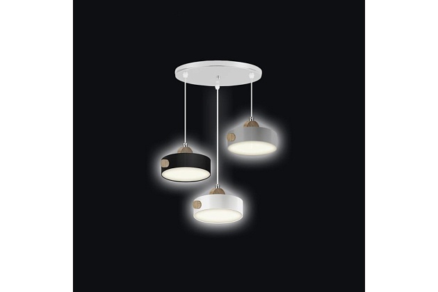 Подвесная светодиодная люстра Ritter Scandia 52078 8 изображение 2 Подвесная светодиодная люстра Ritter Scandia 52078 8 Фото № 2