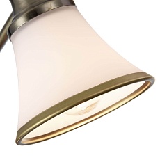 Спот Freya Jasinta FR2272-CW-03-BS 5