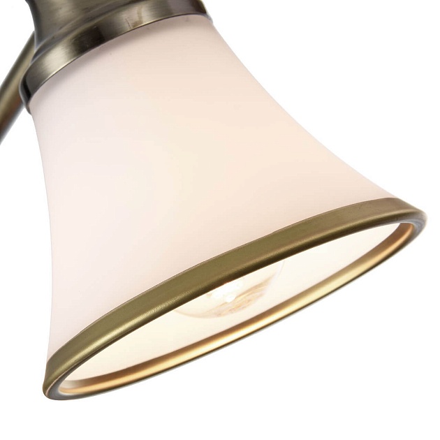 Спот Freya Jasinta FR2272-CW-03-BS Фото № 6