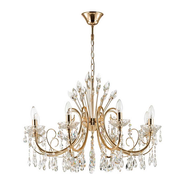 Подвесная люстра Odeon Light Hall Versia 4977/8 Фото № 