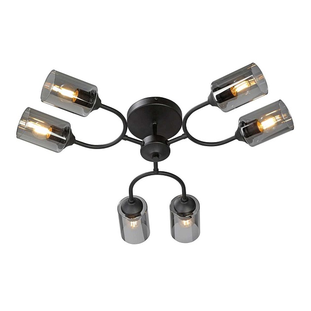 Потолочная люстра Vitaluce V2823-1/6PL Фото № 