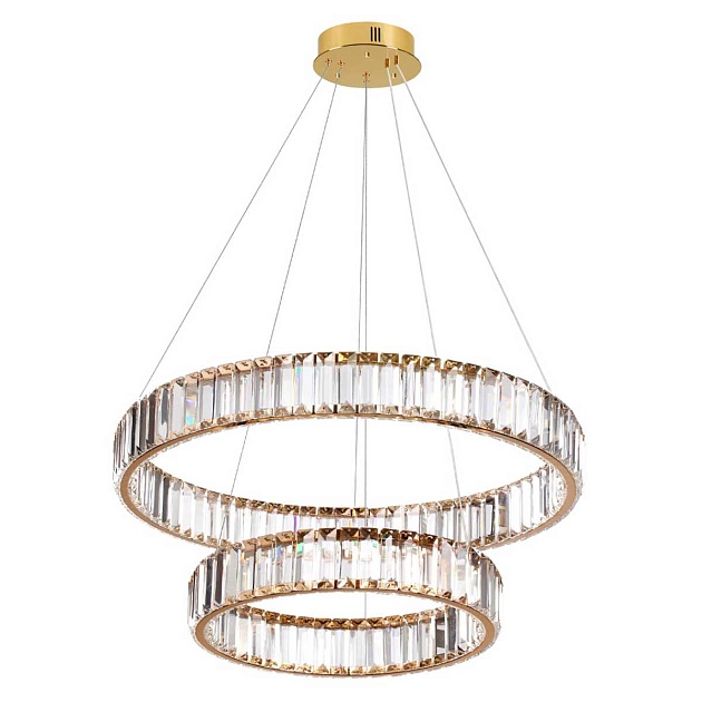 Подвесной светодиодный светильник Odeon Light Vekia 5015/60L изображение Подвесной светодиодный светильник Odeon Light Vekia 5015/60L Фото №