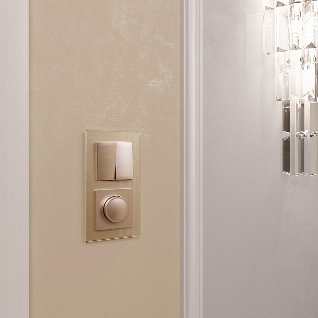 Выключатель двухклавишный проходной Werkel шампань W1122011 4690389157141 изображение 4 Выключатель двухклавишный проходной Werkel шампань W1122011 4690389157141 Фото № 4