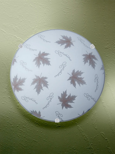 Настенно-потолочный светильник Vitaluce V6283/1A изображение 2 Настенно-потолочный светильник Vitaluce V6283/1A Фото № 2