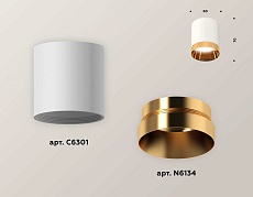 Комплект потолочного светильника Ambrella light Techno Spot XC (C6301, N6134) XS6301024 2