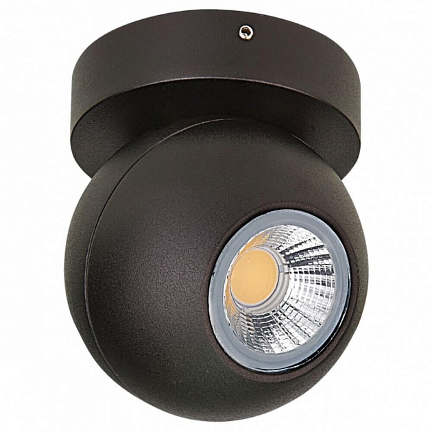 Спот Lightstar Globo 051007 Фото № 