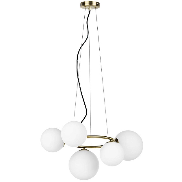 Подвесная люстра Lightstar Globo 815051 Фото № 