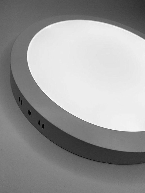 Настенно-потолочный светодиодный светильник Elvan NLS-702R-12W-WW-Wh Фото № 7