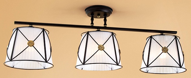 Потолочная люстра Citilux Дрезден CL409232 Фото № 2