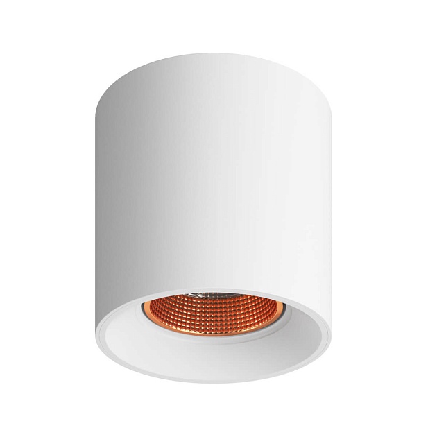 Накладной светильник Denkirs DK3090-WBR Фото № 