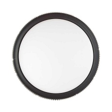 Настенно-потолочный светодиодный светильник Sonex Pale Shiny 3049/DL 1