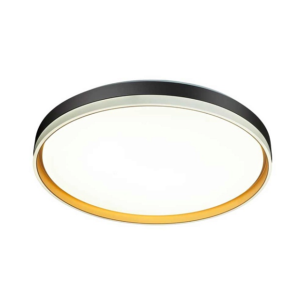 Настенно-потолочный светодиодный светильник Sonex Savi 7619/DL Фото № 2