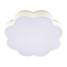 Потолочный светодиодный светильник Loft IT Axel 10225/36 White 2