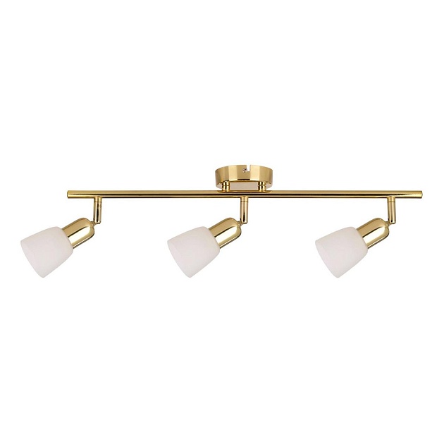 Спот Escada 5039/3PA Фото № 