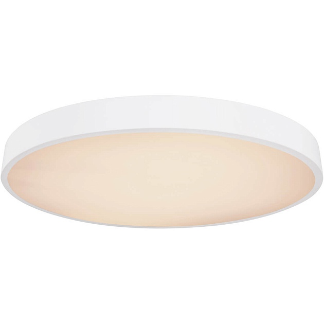 Потолочный светодиодный светильник Globo Wiss 41744-48 изображение Потолочный светодиодный светильник Globo Wiss 41744-48 Фото №