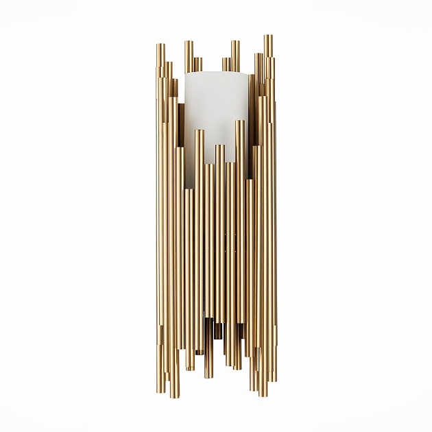 Настенный светильник ST Luce Cesena SL1629.301.01 Фото № 