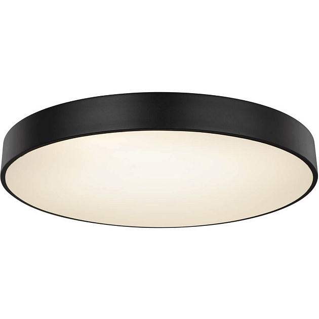 Потолочный светодиодный светильник Globo Wiss 41744-48S Фото № 