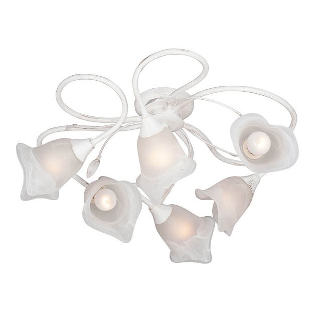 Потолочная люстра Vitaluce V3262-0/6PL изображение Потолочная люстра Vitaluce V3262-0/6PL Фото №