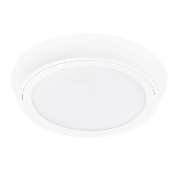 Потолочный светодиодный светильник Lightstar Urbano 216904 изображение Потолочный светодиодный светильник Lightstar Urbano 216904 Фото №