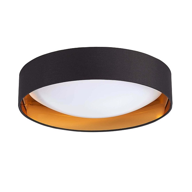 Потолочный светодиодный светильник Evoluce Orbio SLE201102-01 изображение Потолочный светодиодный светильник Evoluce Orbio SLE201102-01 Фото №