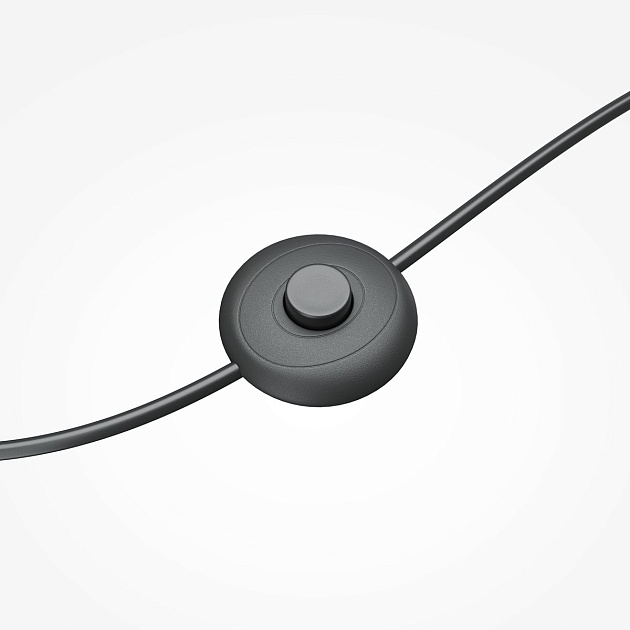 Торшер Maytoni Breeze MOD281FL-L33BS3K Фото № 3